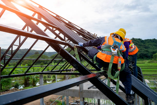 Best Roof Gutter Cleaning  in Haw River, NC